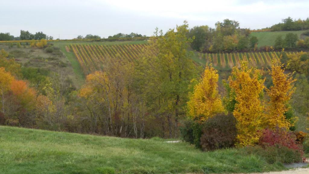 Les Hauts D'Albas Albas  Rom bilde