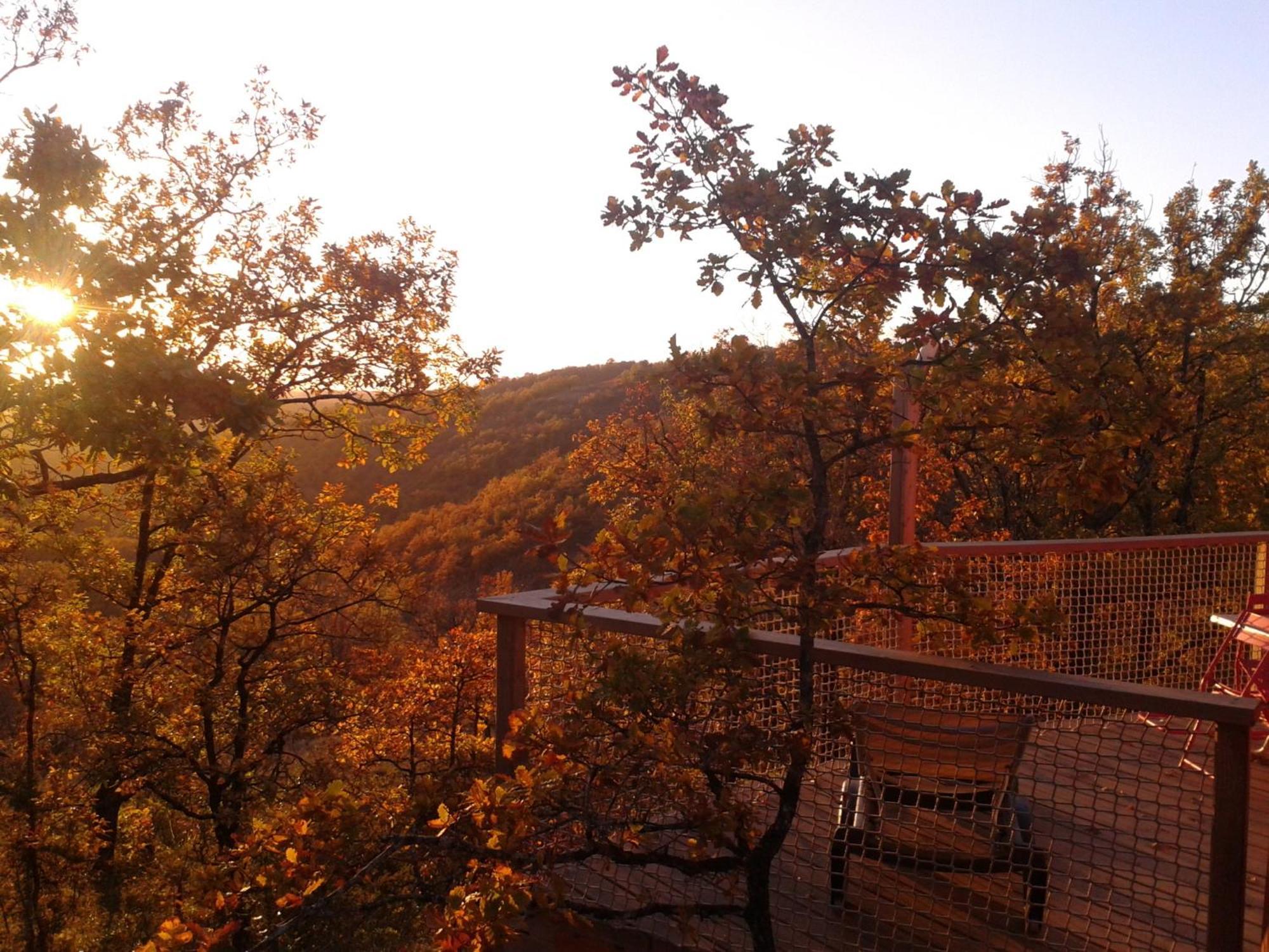 Les Hauts D'Albas Albas  Rom bilde