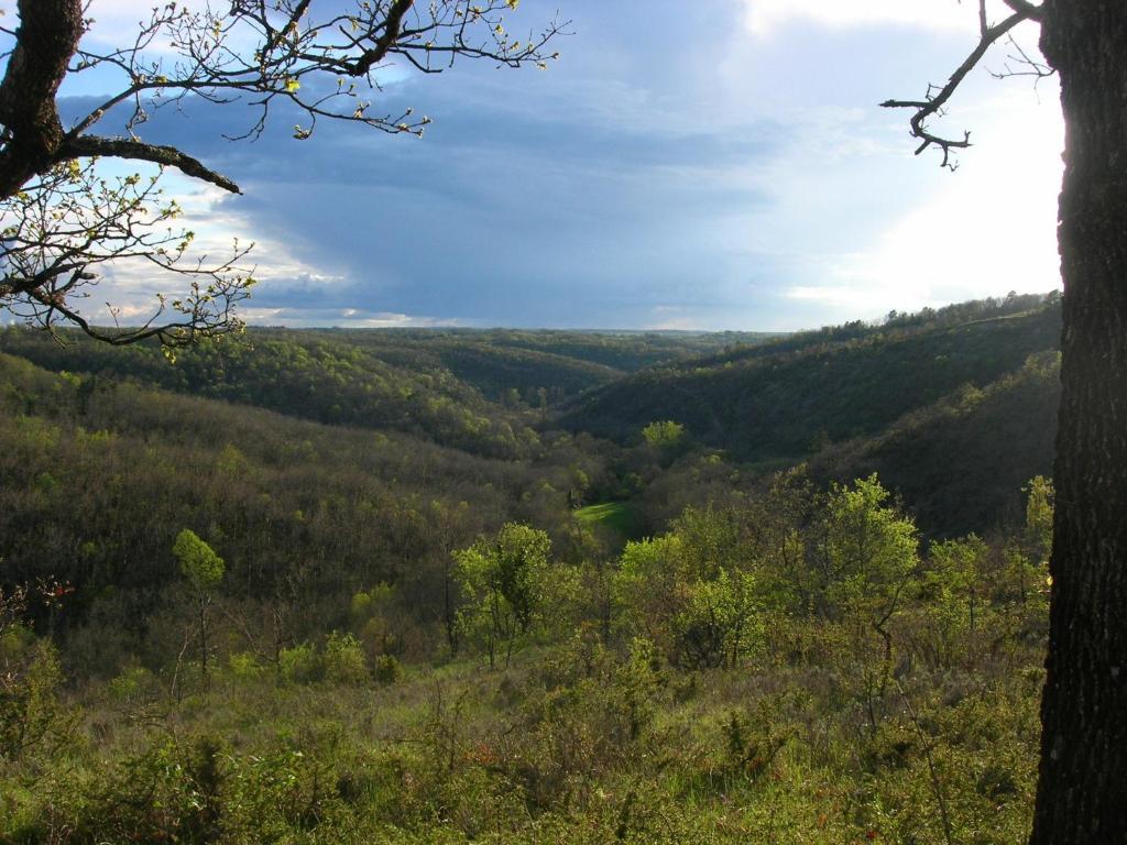 Les Hauts D'Albas Albas  Rom bilde